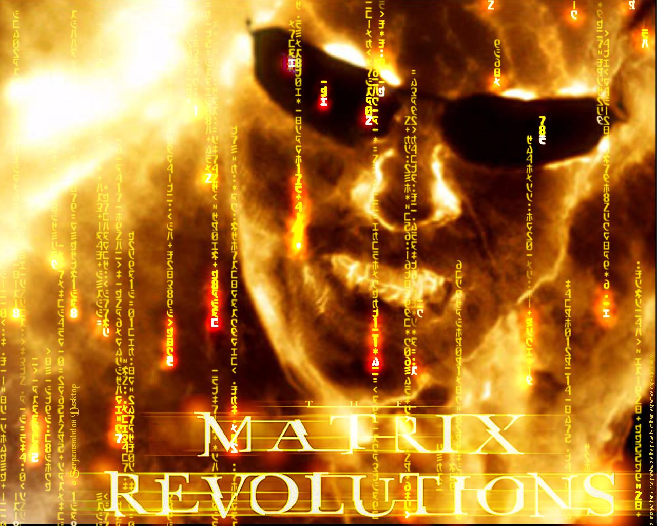 matrixrevolutions51280.JPG